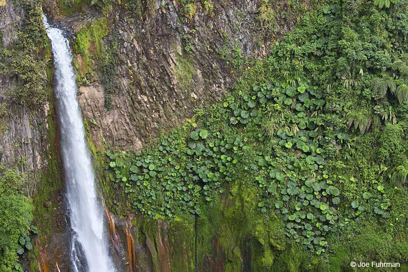 Catarata del Toro Costa Rica Jan. 2014