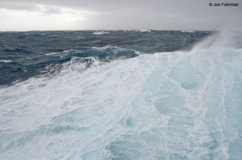 Rough seas on the Drake Passage Nov. 2010
