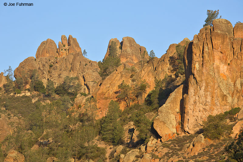 Pinnacles National Park, CA March 2014 East Side