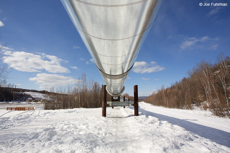 Alaska Pipeline just N. of Fairbanks, AK March 2014