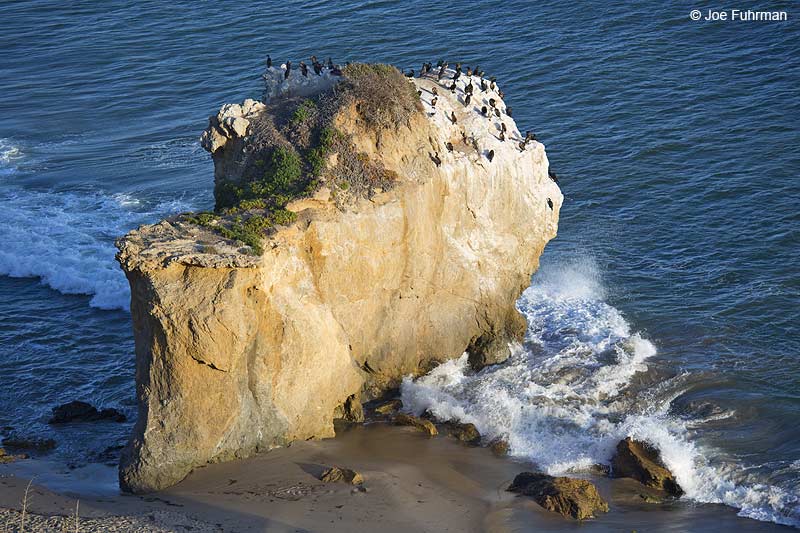 El Matador State BeachMalibu, CA April 2014