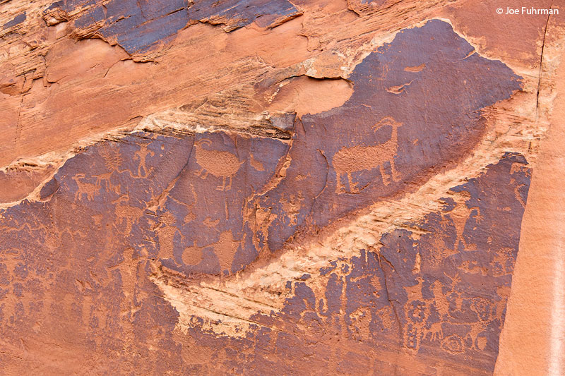 Indian Petroglyphs along Potash Rd.Moab, UT June 2015