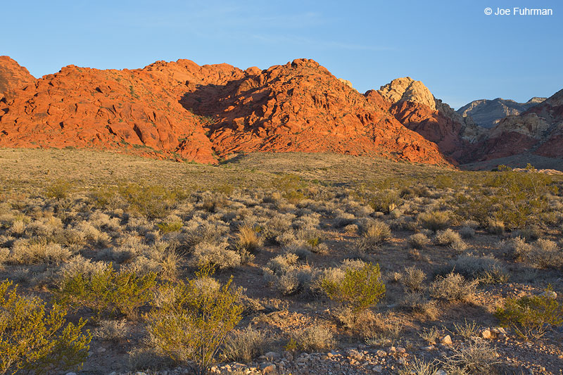 Calico Basin-Red Rock Canyon National Concervation Area, NV May 2014