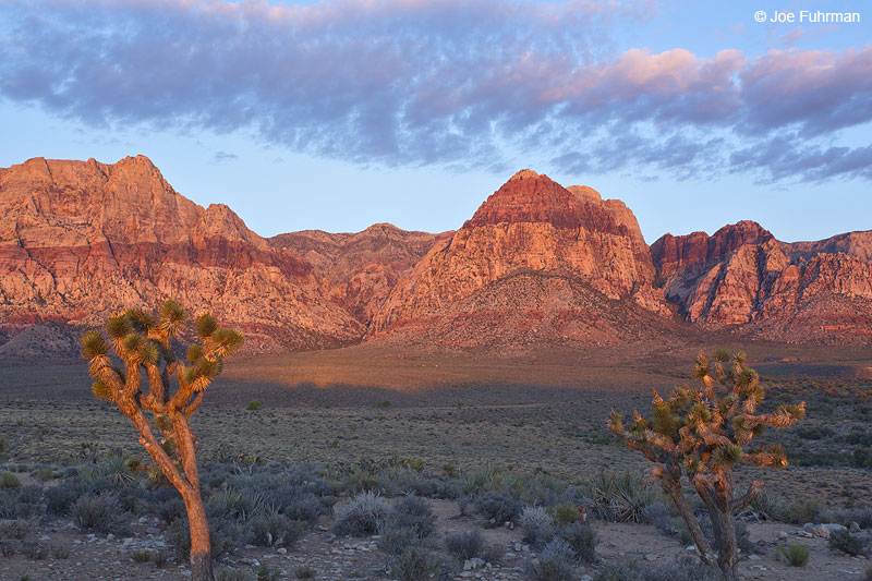 Red Rock Canyon Conservation Area, NV May 2014