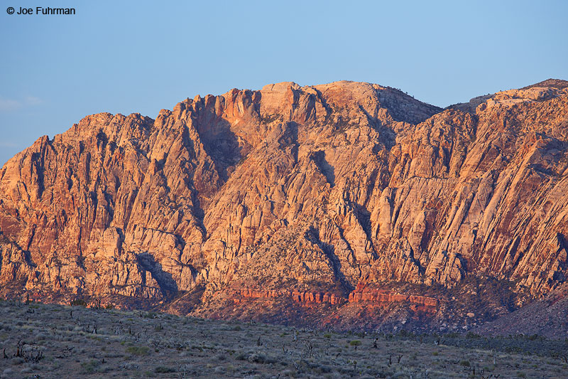 Red Rock Canyon Conservation Area, NV May 2014
