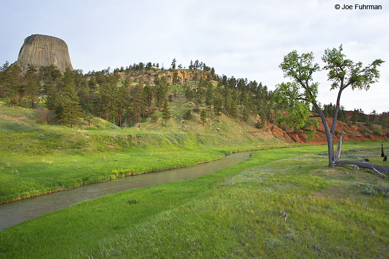 Belle Fourche River Devil's Tower National Monument, WY   June 2014