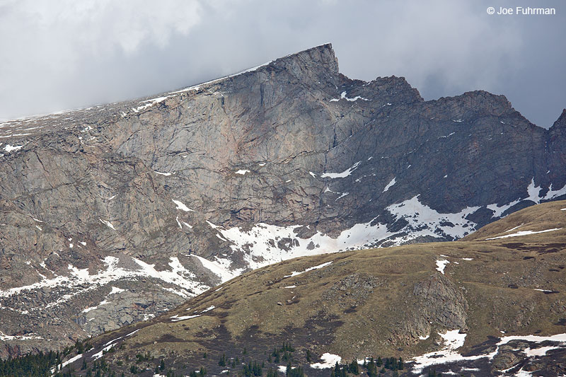 Guanella Pass (Sawtooth Peak) Arapaho N.F., CO June 2014