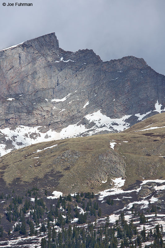 Guanella Pass (Sawtooth Peak) Arapaho N.F., CO June 2014