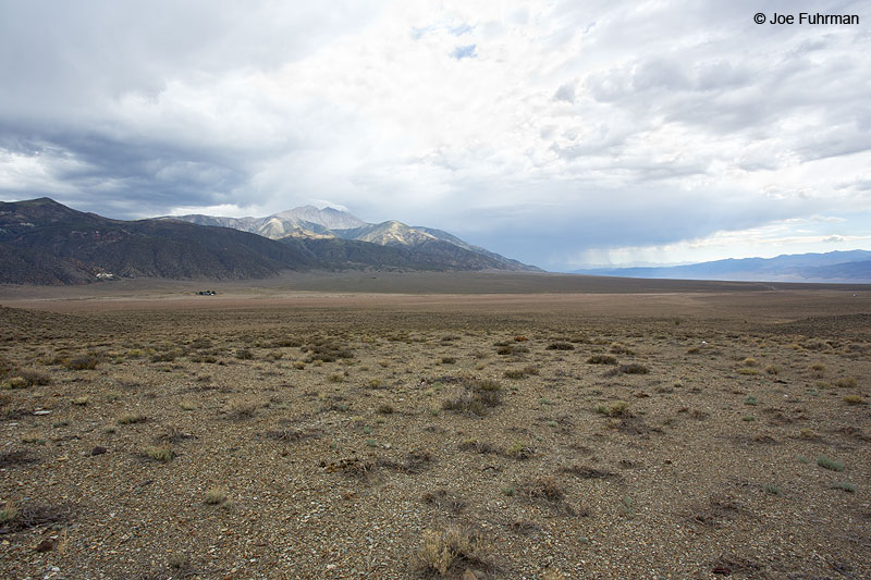 Boundary Peak Esmeralda Co., NV July 2014