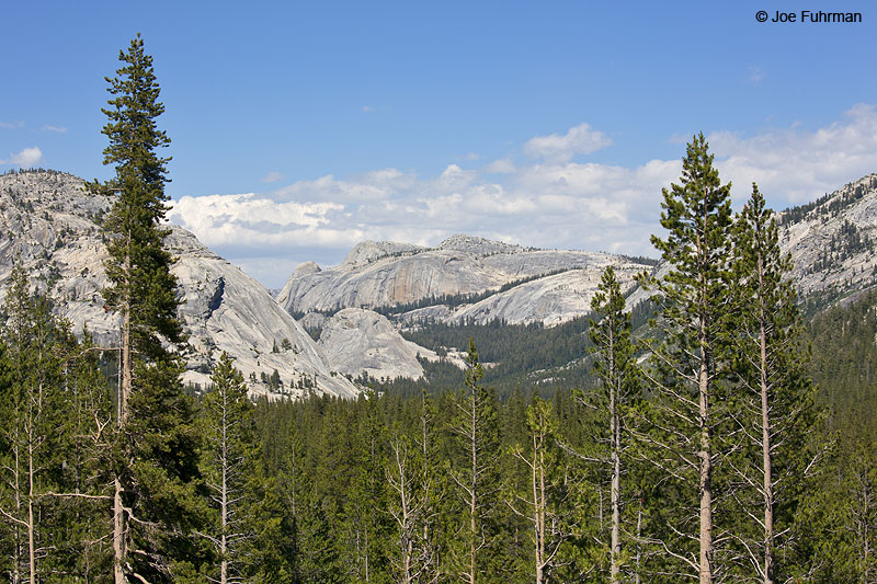 Cathedral Range Yosemite N.P., CA July 2014