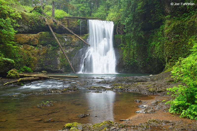Silver Falls State Park, OR   May 2015