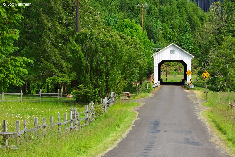 Nelson Mtn. Covered Bridge Greenleaf, OR May 2015