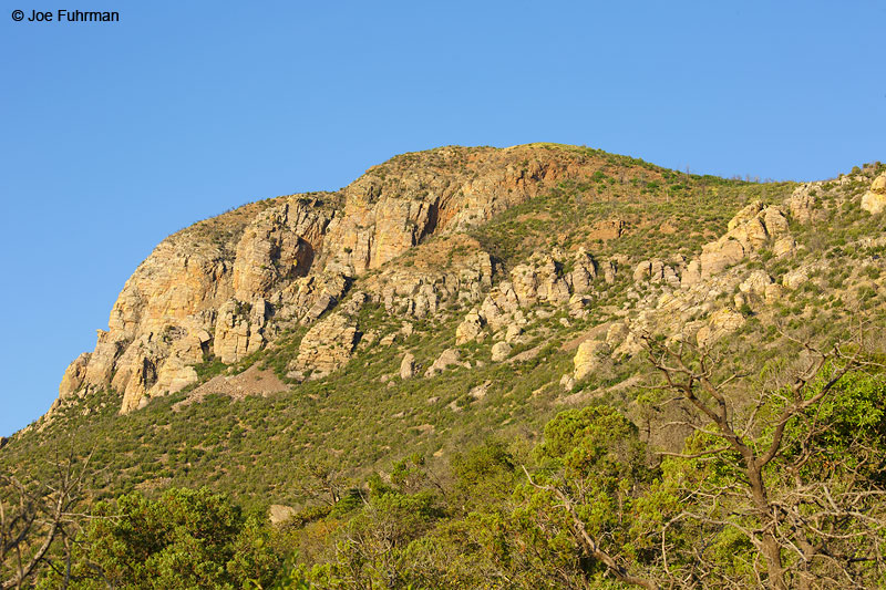 Huachuca Mtns.Sierra Vista, AZ June 2015
