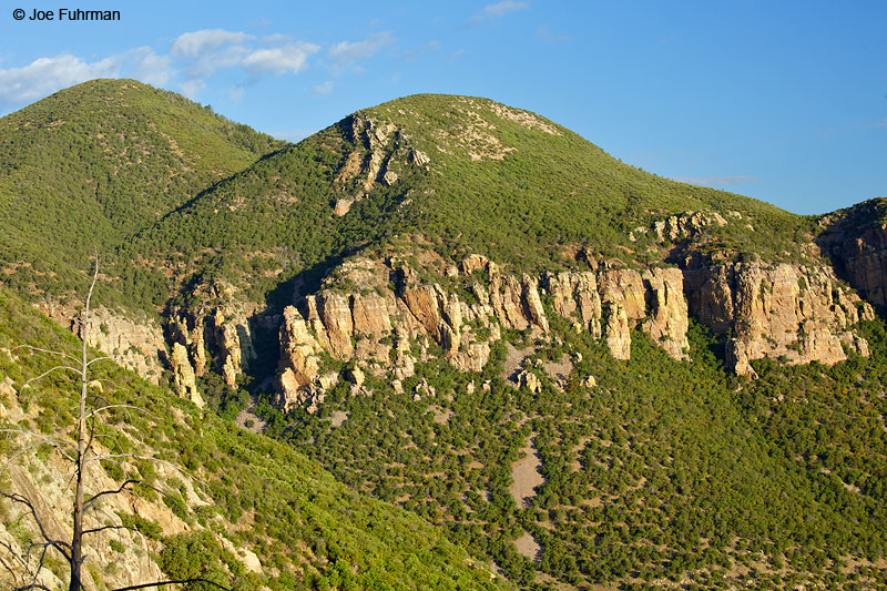 Huachuca Mtns. Sierra Vista, AZ June 2015