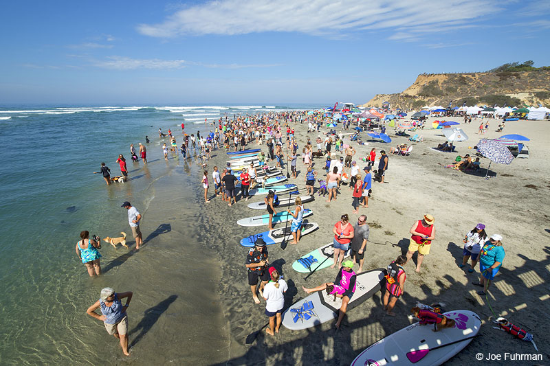Dog Beach-Surf Dog Del Mar, CA Sept. 2014