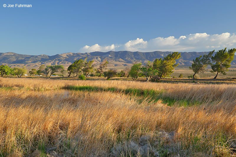 Holiday Lake & Tehachapi Mtns. L.A. Co., CA May 2016