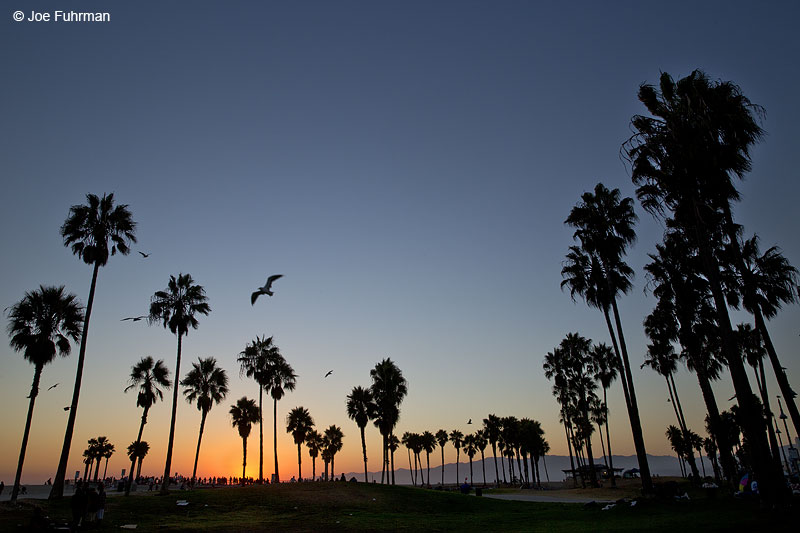 Venice, CA Sept. 2014