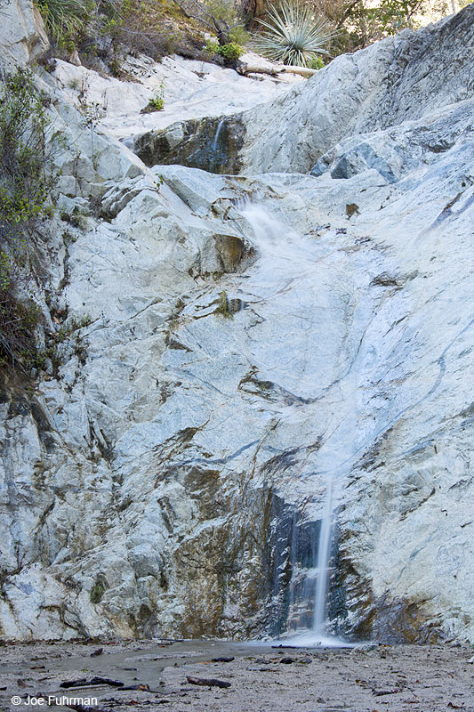 Switzer FallsAngeles National Forest, CA Jan. 2015