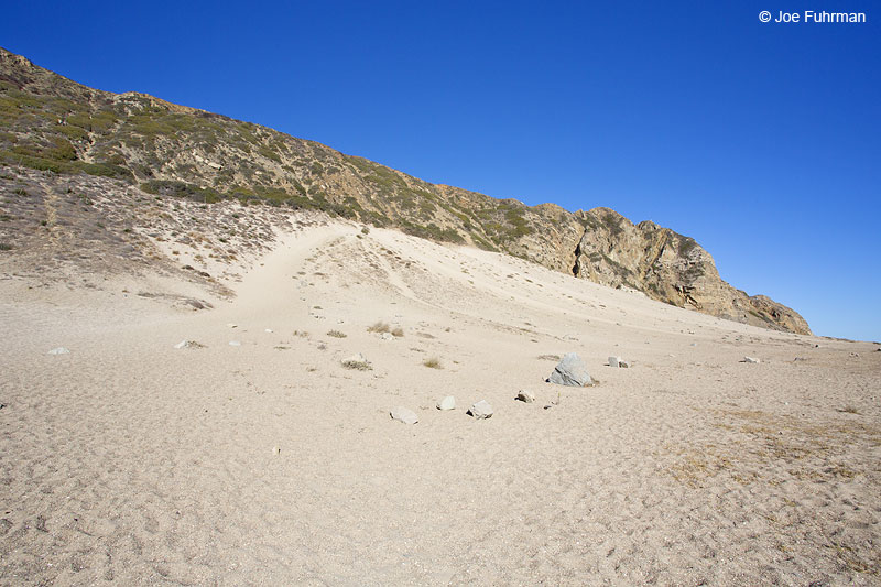Sand DunesMalibu, CA August 2013