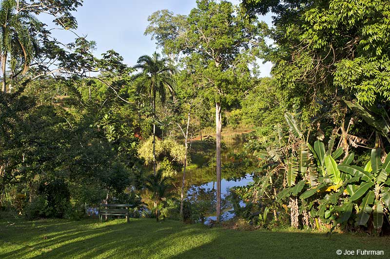 Laguna del Lagarto Lodge Costa Rica Jan. 2014