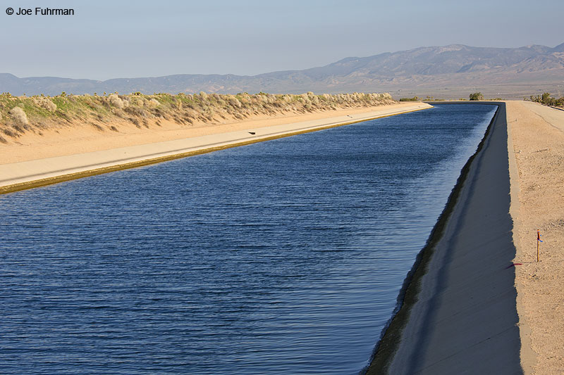 California Aquaduct-Antelope Valley L.A. Co., CA April 2014