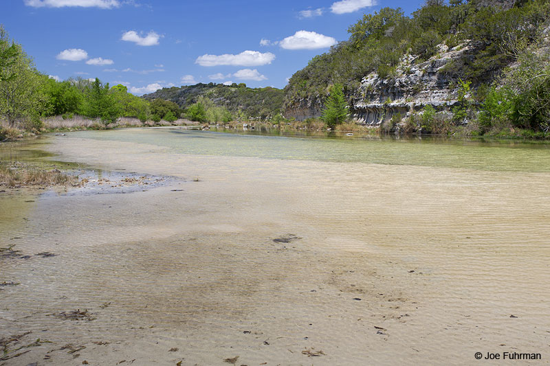 Guadalupe River Hunt, TX April 2014
