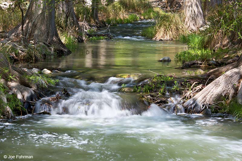 Guadalupe River Hunt, TX April 2014