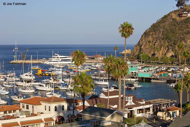 Avalon-Santa Catalina Island, CA Sept. 2013