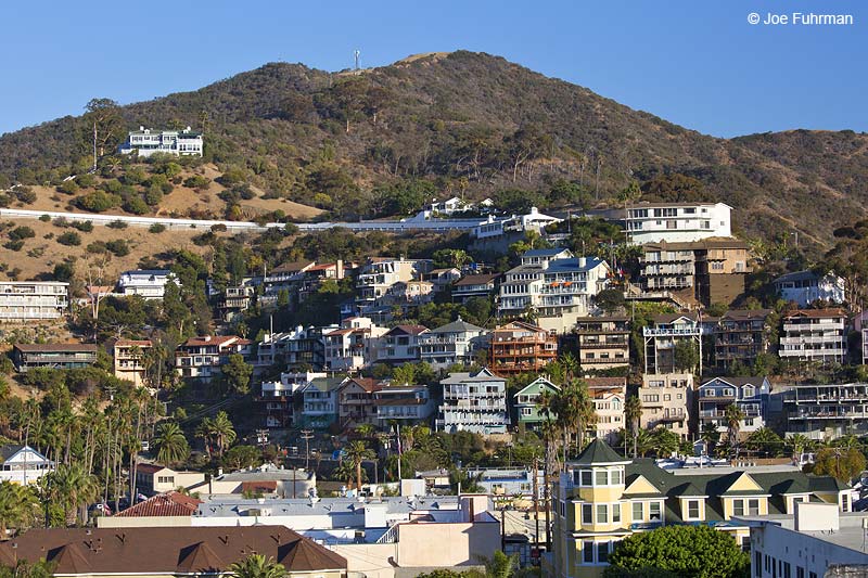 Avalon-Santa Catalina Island, CA Sept. 2013