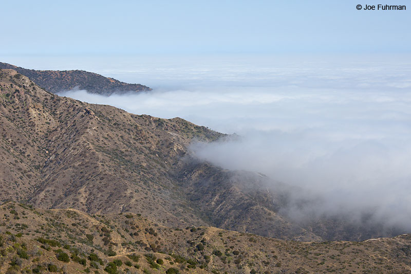 Santa Catalina Island, CA Sept. 2013