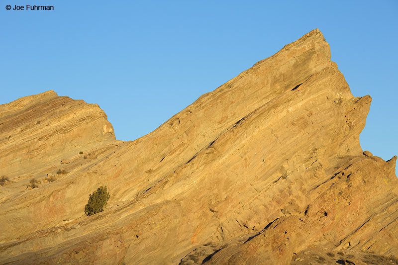 Vasquez Rocks County Park Agua Dulce, CA Oct. 2013