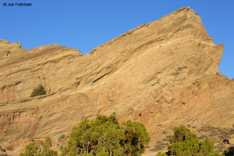 Vasquez Rocks County Park Agua Dulce, CA Oct. 2013