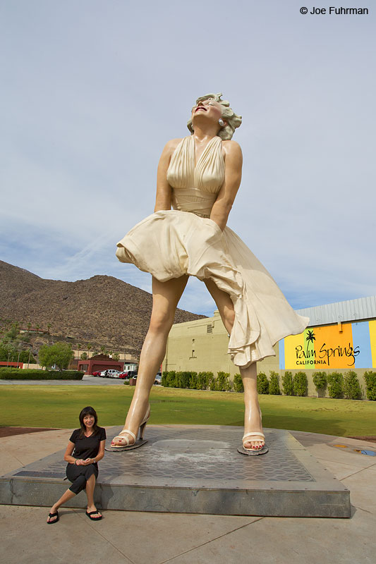 Marilyn Monroe by Johnson Palm Springs, CA Oct. 2013