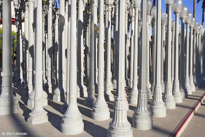 LACMA Oct. 2013