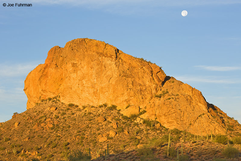 Apache Trail, AZ Nov. 2013