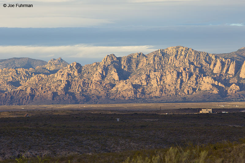 Dragoon Mtns. Cochise Co., AZ Nov. 2013