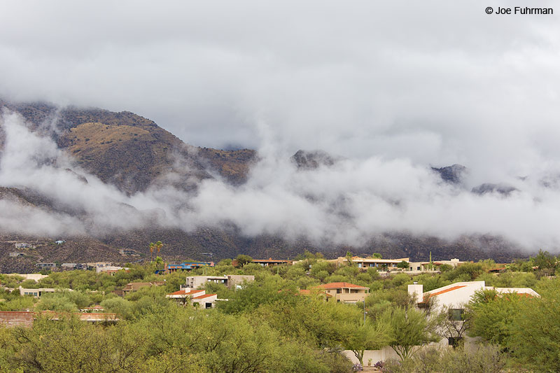 Foothills of Tucson, AZ Nov. 2013