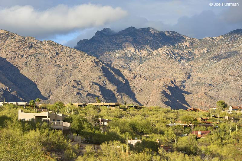Foothills Area-Tucson, AZ Nov. 2013