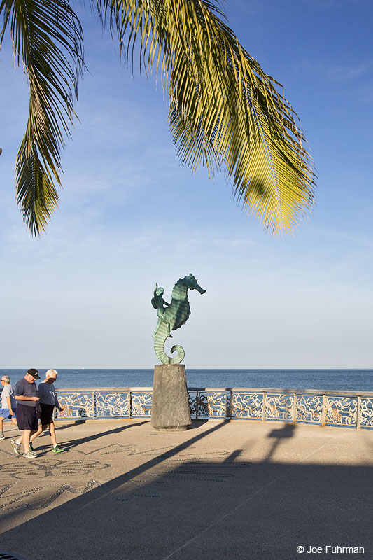 Seahorse Statue Puerto Vallarta, Jal., Mexico Dec. 2013