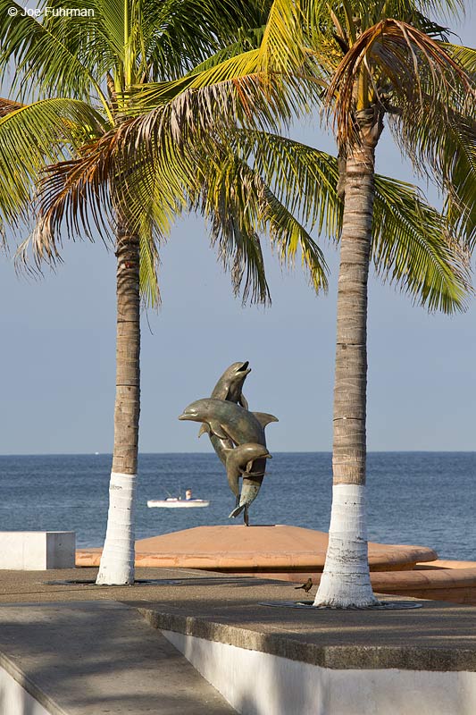 Dolphin Statue Puerto Vallarta, Jal., Mexico Dec. 2013