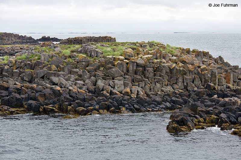 Sea stack Flatey Island, Iceland   July 2013