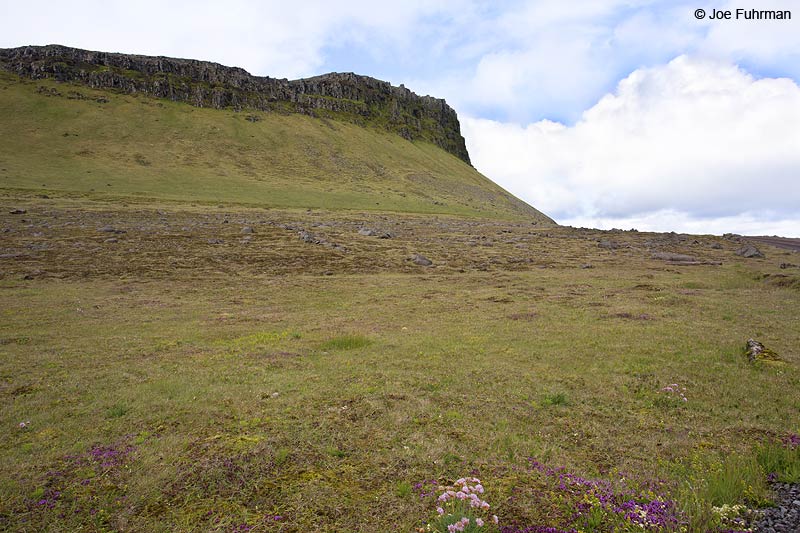 Latrabjarg Cliffs (Western most pt. in Europe) Iceland   July 2013