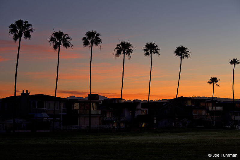 Peninsula Park Newport Beach, CA Feb. 2014
