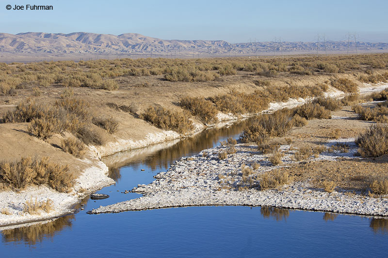Carrizo Plain National Monument, CA Feb. 2014