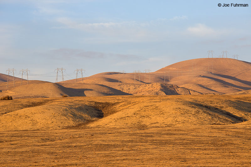 Carrizo Plain National Monument, CA Feb. 2014
