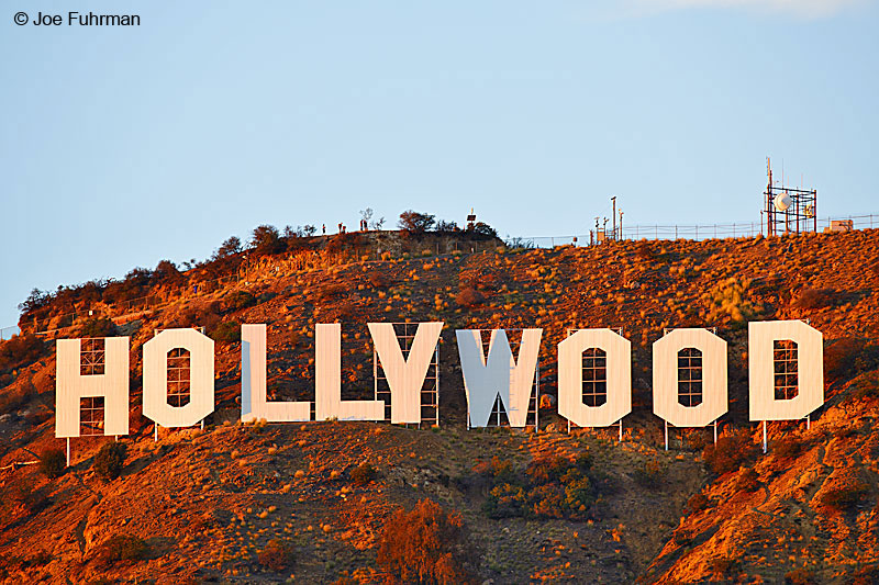 Hollywood, CA Nov. 2015