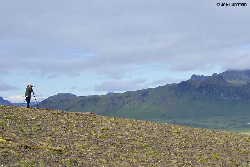 Dyrholaey, Iceland   July 2013