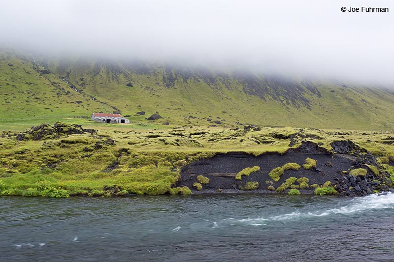 Along hwy. 1 near Skaftafell National Park, Iceland   July 2013