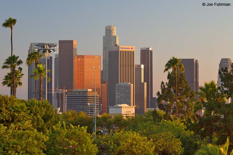 View of downtown from Dodger StadiumL.A., CA July 2013