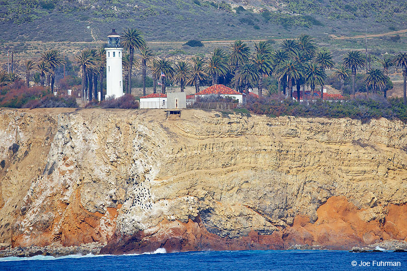 Point Vicente Lighthouse Rancho Palos Verdes, CA February 2016